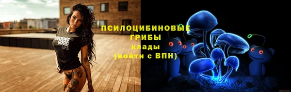 MDMA Premium VHQ Инта