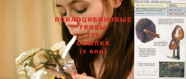 мяу мяу кристалл Иннополис